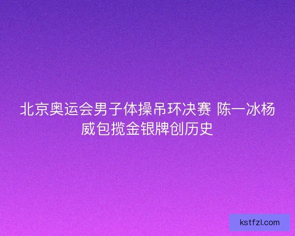 北京奥运会男子体操吊环决赛 陈一冰杨威包揽金银牌创历史