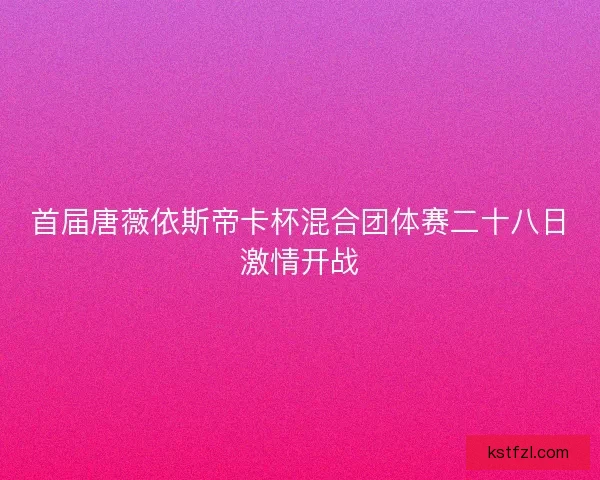 首届唐薇依斯帝卡杯混合团体赛二十八日激情开战
