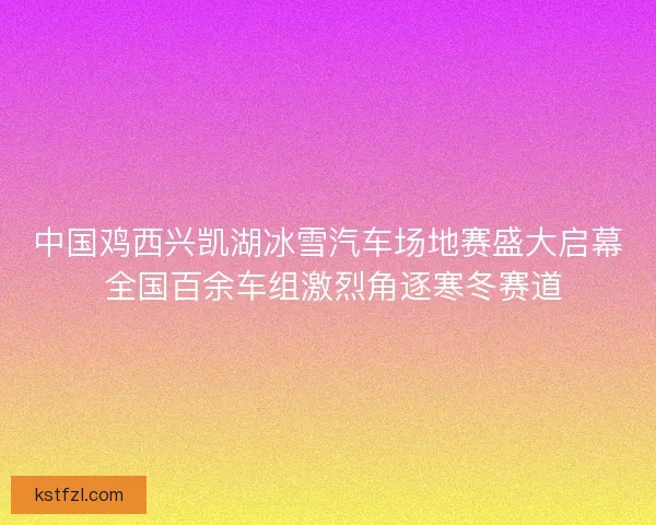 中国鸡西兴凯湖冰雪汽车场地赛盛大启幕 全国百余车组激烈角逐寒冬赛道